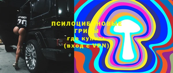 хмурый Снежинск