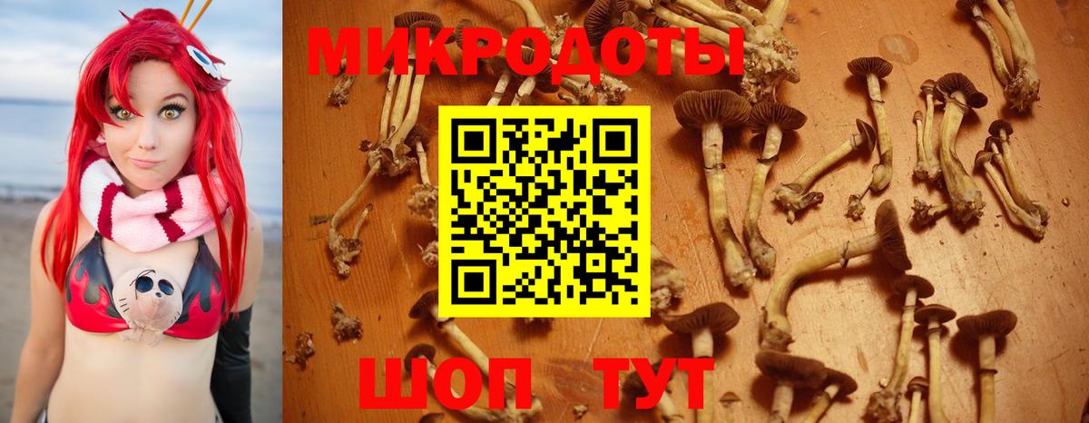 Псилоцибиновые грибы MAGIC MUSHROOMS Шуя